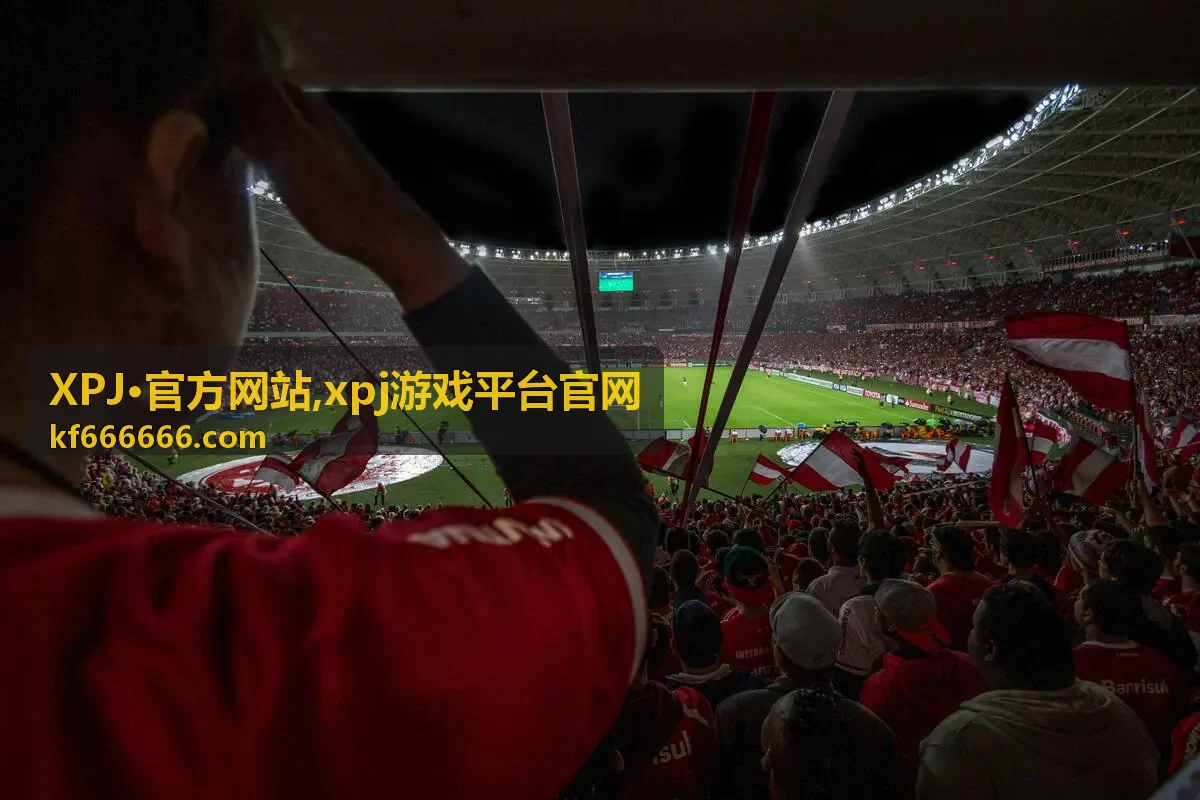 XPJ·官方网站访问异常排查说明