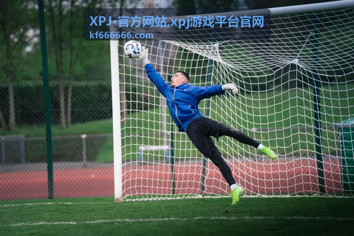 XPJ·官方网站访问常见问题
