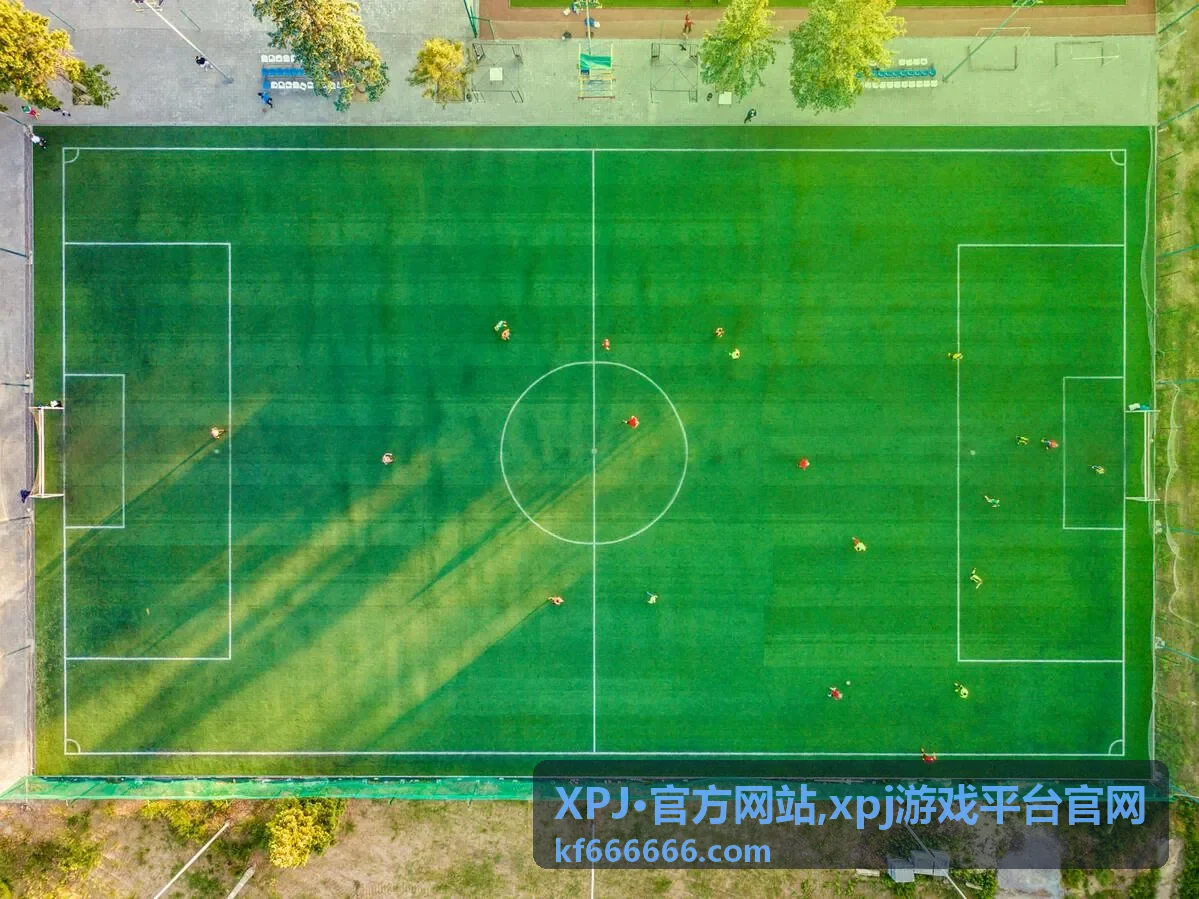 xpj游戏平台官网入口指南封面